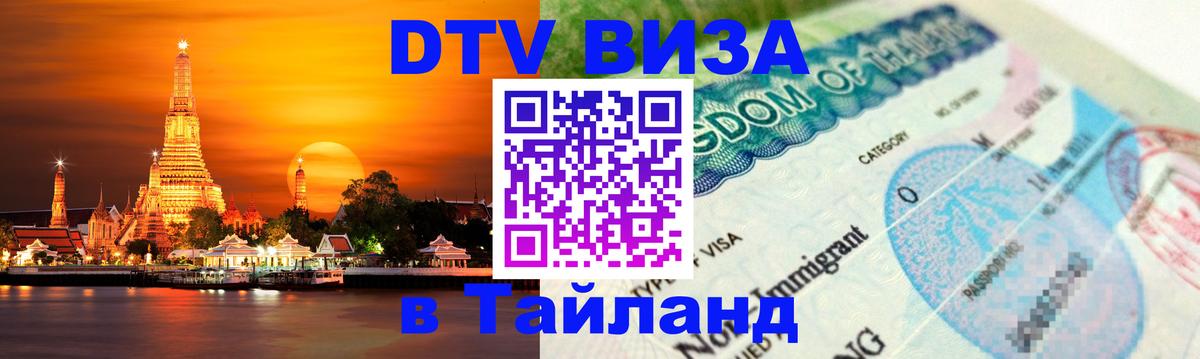 Сколько стоит DTV виза — актуальные цены, оформление даже без документов - Северодвинск  20.11.2025 